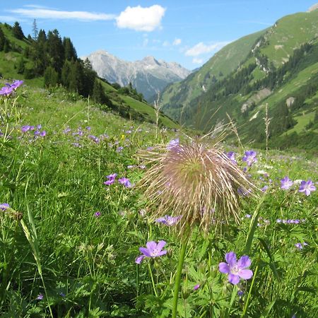 Ferienwohnungen Schlichtherle Bach  Zewnętrze zdjęcie